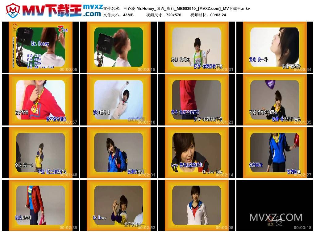 王心凌-Mr.Honey_国语_流行_MB503910